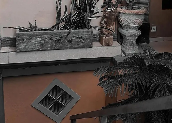 Adi House *