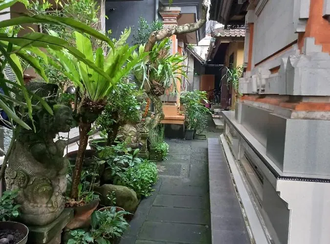 Adi House